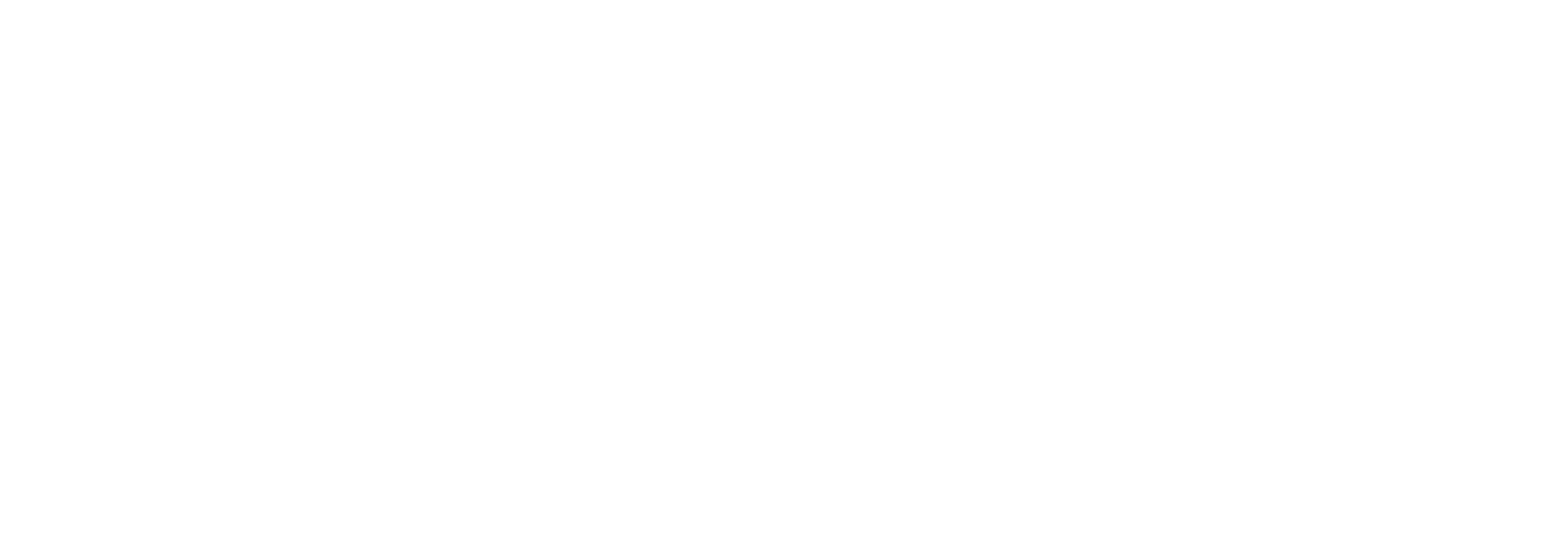 LITEK-logo white